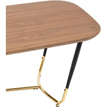 Журнальный столик Stool Group Даймакс 120*60 темное дерево