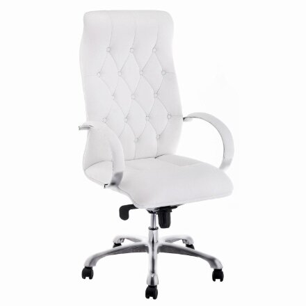 Компьютерное кресло Мебель Китая Osiris white / satin chrome