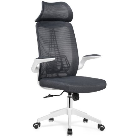 Компьютерное кресло Lokus dark gray 