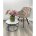 Стул GALE BLUVEL-40 BEIGE поворот.360 град., велюр М-City 