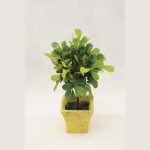 A54300801 Комплект цветов искусственных из 12 штук Greenery Ashley